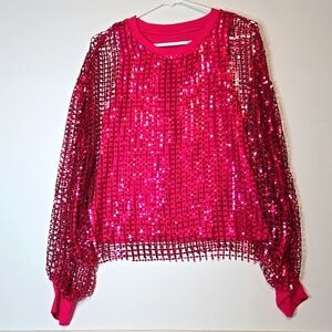Anthropologie Pilcro Raspberry Pink Mesh Sequin Blouse Size Medium